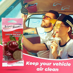 Organic Under the Seat Car Air Freshener, Long Lasting Fragrance, Cranberry Scent, 3 Pack