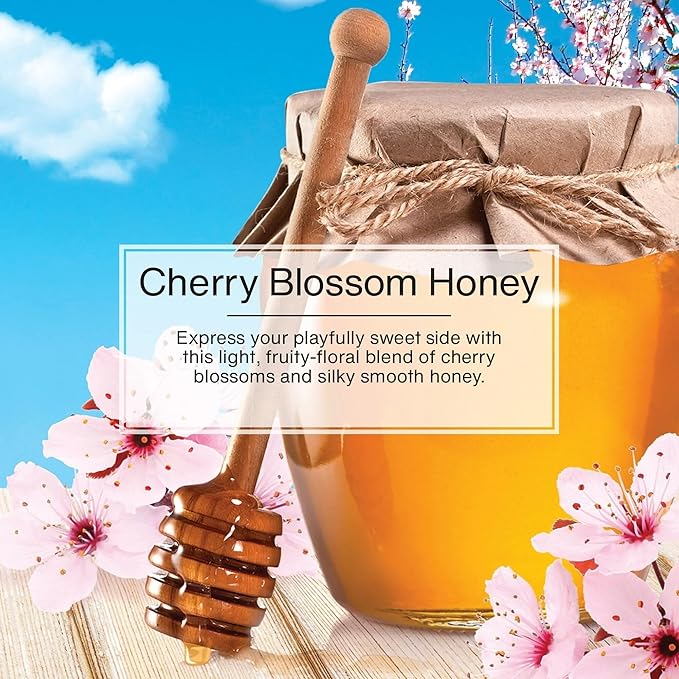 LITTLE TREES Car Air Freshener | Hanging Paper Tree for Home or Car | Cherry Blossom Honey | 6 Pack