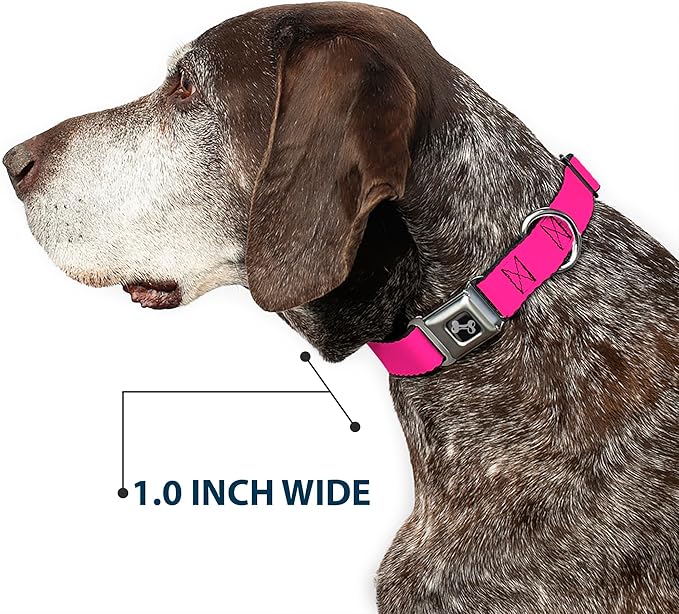 Dog Collar Seatbelt Buckle Hot Pink 15 to 26 Inches 1.0 Inch Wide, Multicolor