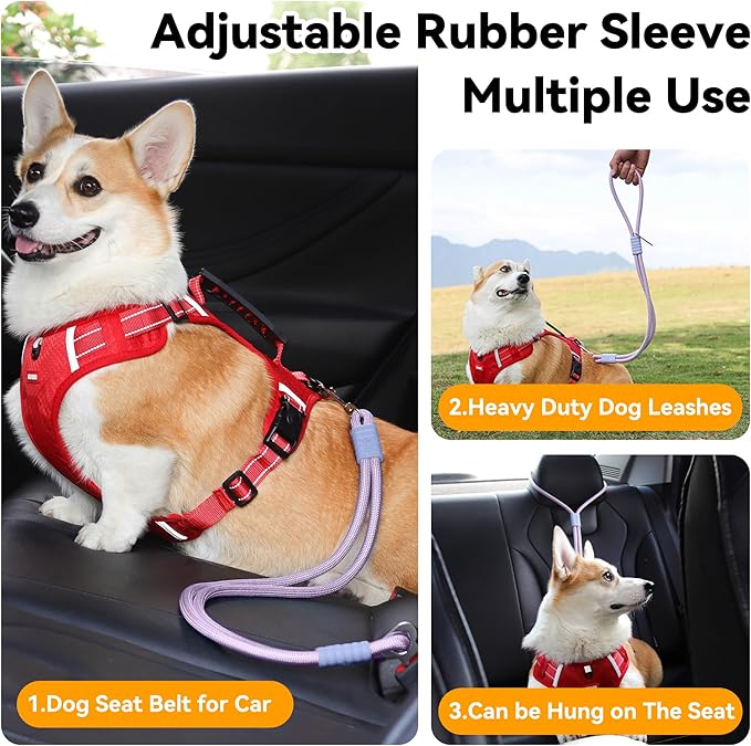 2-in-1 Dog Car Seatbelt Leash & Walking Lead - Heavy Duty 70CM Nylon Rope Leash with Secure Vehicle Buckle for Small Medium Large Dogs, for Travel, Walking, Training