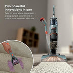 Shark CarpetXpert | Upright Carpet, Area Rug & Upholstery Cleaner | Carpet Shampooer with Handheld Spot & Stain Eliminator | 3 Cleaning Tools | Slate Green | EX151