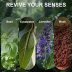 Car Air Freshener Diffuser Provence Lavender Scented 2 Pack, Car Fresheners Vent Clip Leather Design, Car Diffuser Flower Scented for 30 days Long Lasting Black