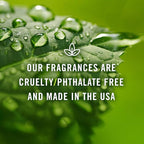 &J Fragrance Oil Tropical Set | Banana, Coconut, Awapuhi and Seaberry, Pineapple, Mango, Ocean Breeze Candle Scents for Making, Freshie Scent, Soap Making Supplies, Diffuser