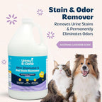 Urine B-Gone, Professional Enzyme Odor Eliminator & Pet Stain Remover, Human, Cat & Dog Urine Cleaner, Effective on Laundry, Carpets & More, Lavender Scent, 1 Gallon