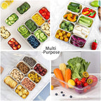 Snack Box Container with Insulated Cooler Bag, Divided Serving Tray with Lid and Handle Beach Essentials, Snackle Box Veggie Fruit Tray with 8 Compartments & 8 Forks & 2 Spoon