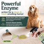 Urine Destroyer Enzyme Cleaner Spray | Cat & Dog Urine Stain and Odor Eliminator | Enzymatic Carpet Cleaner for Pets | Cat Pee Enzyme Cleaner (24 oz Pack of 2)