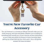 CANDECraftCo Car Air Hanging Fragrance Oil, Car Auto Freshener for Essential Oils, Scents Fragrance Aromatherapy Automobile Diffuser, Long Lasting (Smells Like Pedro Pascal)