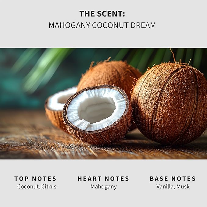 Lapew Mahogany Coconut Dream Carpet Deodorizer Powder - Pet Safe Freshener for Vacuuming | Scented Odor Eliminator for Home | 16 oz
