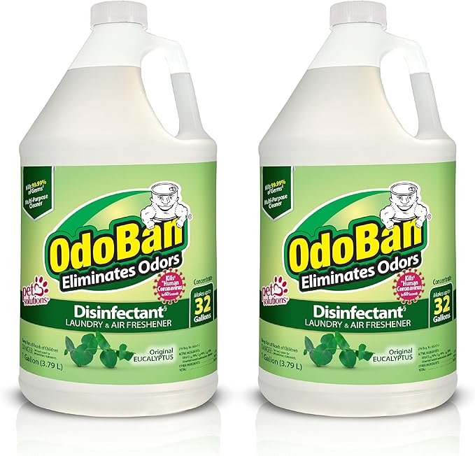 OdoBan Disinfectant Concentrate and Odor Eliminator, 2 Gallons, Original Eucalyptus Scent