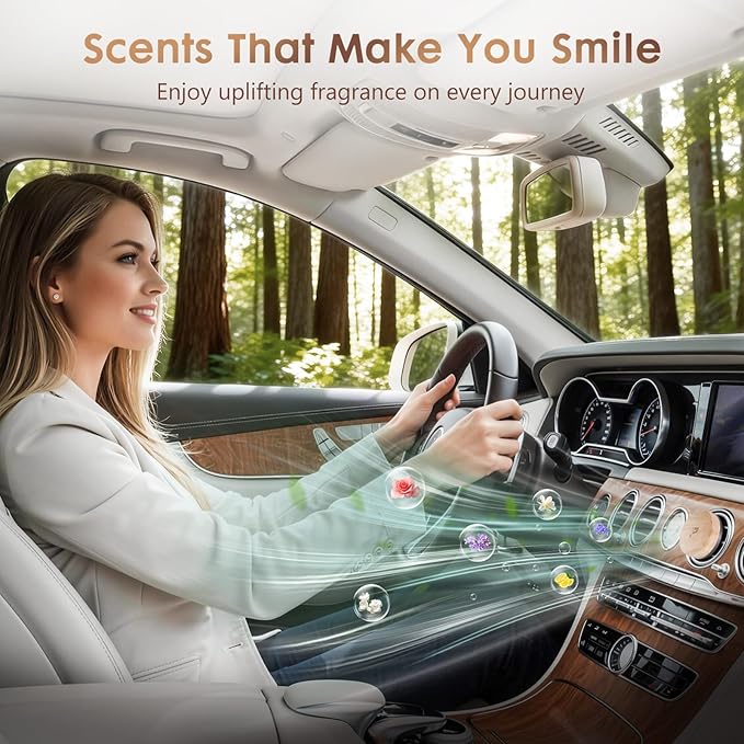 Car Air Freshener Refill Gypsum with Essential Fragrance — Ocean, Pack of 4 Compatible with （B0GF6K2FCY/B0GF6CRC1L）
