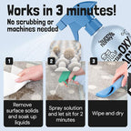 Sunny & Honey Oxy Pet Stain and Odor Eliminator - Oxygen Powered Carpet Cleaner Spray and Upholstery Cleaner - Pet Stain Remover for Rugs, Couches and Mattresses - Unscented (32 fl oz)