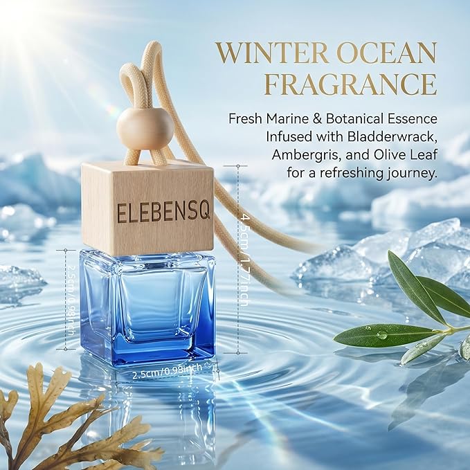 Car Air Freshener for Men's,Dual Installation (Rearview Mirror Hanging & AC Vent Clip), Natural Plant Essential Oil, 45 Days Long-Lasting Scent for Car (2, Midnight Blue & Winter Ocean)