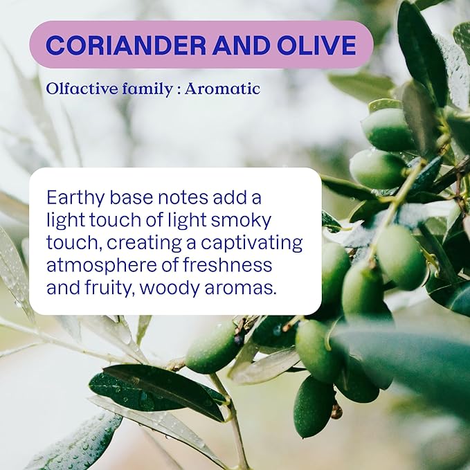 ATTITUDE Odor Eliminator with Activated Carbon, Plant-Based Air Purifier, Vegan, Coriander and Olive, 8 Ounces