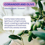 ATTITUDE Odor Eliminator with Activated Carbon, Plant-Based Air Purifier, Vegan, Coriander and Olive, 8 Ounces