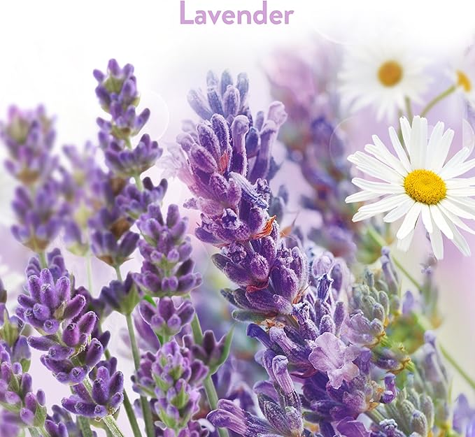 Air Wick Stick Ups Air Freshener, Lavender and Chamomile, 2 Count