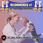 Mister Max Anti Icky Poo Enzyme Cleaner Spray Combo - Pet Urine Odor Remover & Tough Stain Remover with P-Bath (Urine Pre-Treat Conditioner)