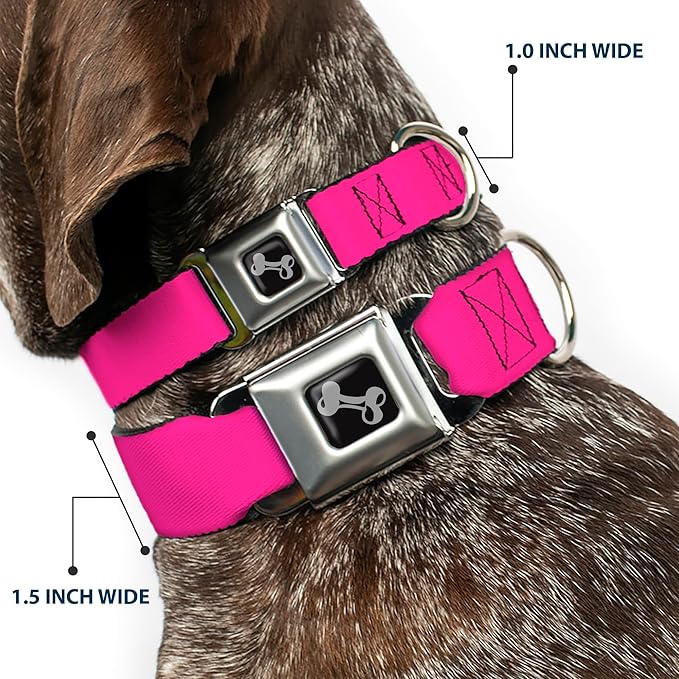Buckle-Down Dog Collar Seatbelt Buckle Hot Pink 13 to 18 Inches 1.5 Inch Wide, Multicolor, DC-W30838-WS