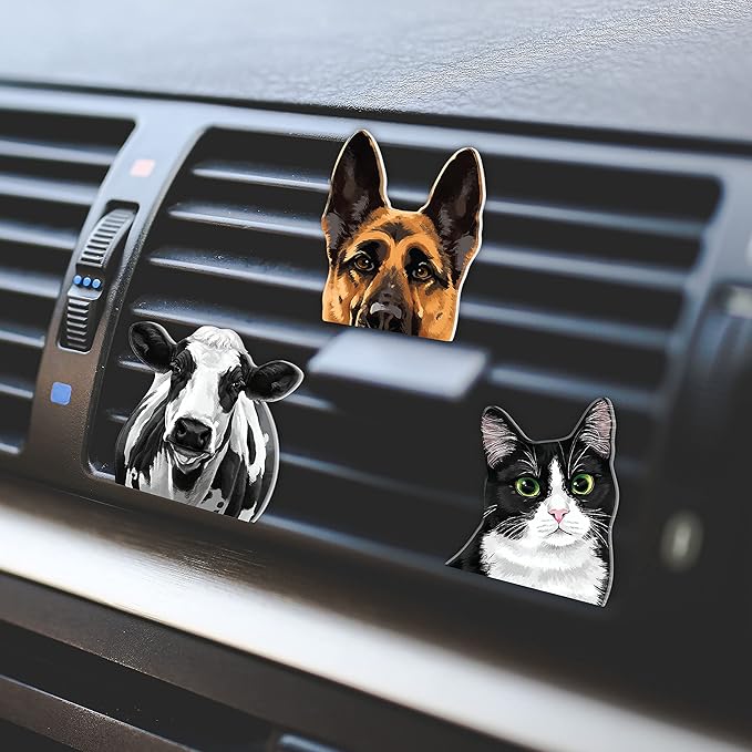 WIRESTER Fresh Scented Car Air Freshener Vent Clip, Decorative Accessories, Interior Decoration for Cars