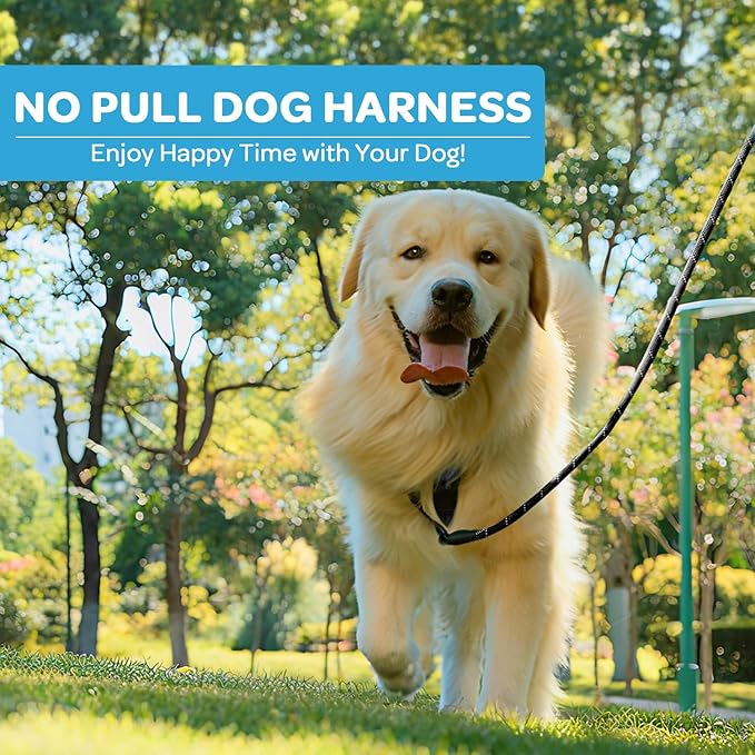 FURRYFECTION Plaid Dog Harness for Large Dogs, Reflective No Pull Adjustable Pet Vest with Front Clip, Leash, Easy Control Handle and Seat Belt, Blue&White, XL