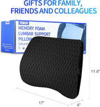 Lumbar Support Pillow for Car & Office Chair - High-Density Memory Foam for Sciatica & Lower Back Pain Relief - Non-Slip Back Support Cushion for Long Commutes & Desk Workers (4D Mesh Black)