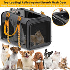 PAWZIDEA Large Pet Carrier Expandable, 24"×16"×16" Soft-Sided Cat Carrier for 2–4 Cats up 55lb, Portable & Collapsible Small Medium Dog Travel Crate for Car, XL Storage Pocket, ID Card, Shoulder Strap