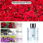 Amor Lyris Car Air Freshener Refill 3.5OZ/100ml Bottle, CO01/Dedicated Perfume Long Lasting Air Fresheners 6 Months, Car Diffuser Essential Oil Made of Natural Plant Extracts, Rose