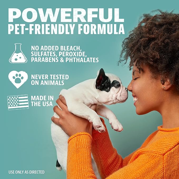 ANGRY ORANGE Pet Stain & Odor Remover for Dog Urine and Stains - Enzyme Pet Odor Eliminator for Home - Citrus - Value 2 pack