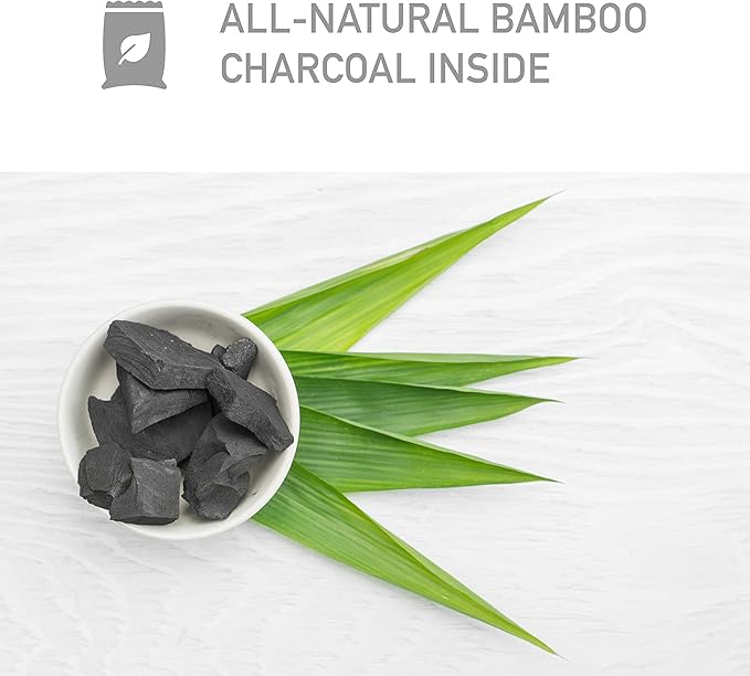 PureGuardian CB200 Bamboo Charcoal Air Purifying Bag, Eco-Friendly, Naturally Absorbs Odors, Excess Moisture and Pollutants, 200g, Gray