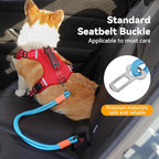 2-in-1 Dog Car Seatbelt Leash & Walking Lead - Heavy Duty 70CM Nylon Rope Leash with Secure Vehicle Buckle for Small Medium Large Dogs, for Travel, Walking, Training