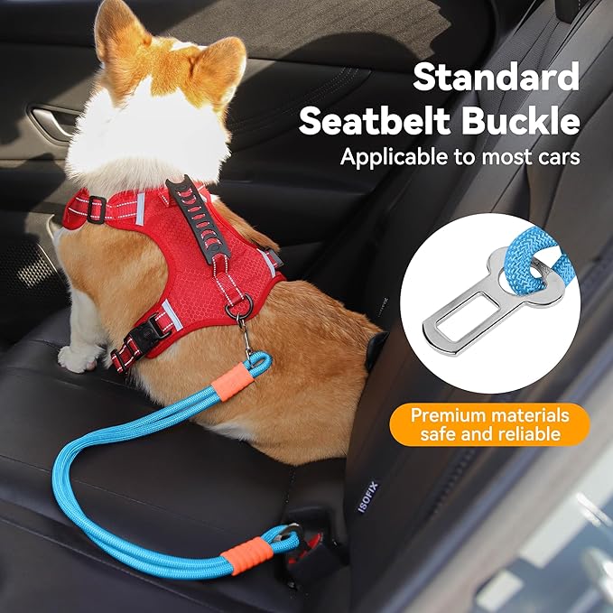2-in-1 Dog Car Seatbelt Leash & Walking Lead - Heavy Duty 70CM Nylon Rope Leash with Secure Vehicle Buckle for Small Medium Large Dogs, for Travel, Walking, Training