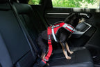 Support Pets Dog Seat Belt for Car – Adjustable Dog Safety Seatbelt Harness for Dogs & Puppies – Vehicle Seatbelt Clip for Secure Pet Travel – Durable Dog Accessories & Travel Restraint – Red 1 Pack