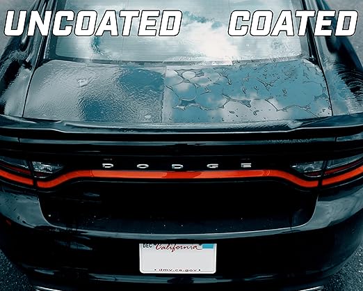 Renegade Products Graphene + Ceramic Black Paint Polish with Sio2, 1 Year Coating for Enthusiasts and Professionals