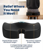 Everlasting Comfort Doctor Recommended Memory Foam Seat Cushion for Office Chairs & Car - Ergonomic Office Desk Accessories - Cushions for Tailbone Pain Relief, Sciatica (Black, XX-Large)
