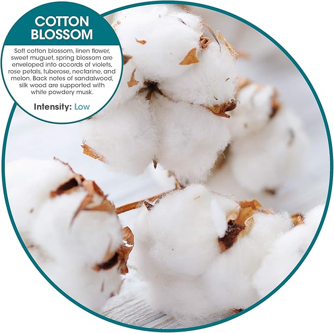 Fresh Products Eco Air Refill Air Freshener Dry Fragrance Technology Natural Oils No Acetone or Propellants Lasts 30 Days Eco Friendly Powerful Fragrance Made in the USA 6 pk Cotton Blossom