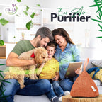 4 Pack Bamboo Charcoal Air Purifier Bags 200 Grams Each - Activated Charcoal Odor Absorber for Car, Pets & Closet - Natural Freshener for Home, Eco-Friendly & Reusable Charcoal Bags (Fresh Colors)