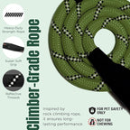 Dog Seat Belt for Car | Universal Dog Car Seatbelt | Durable Reflective Rope with Clip Hook Latch, Buckle and Carabiner- Safe and Secure Pet Safety Restraint (Army Green)