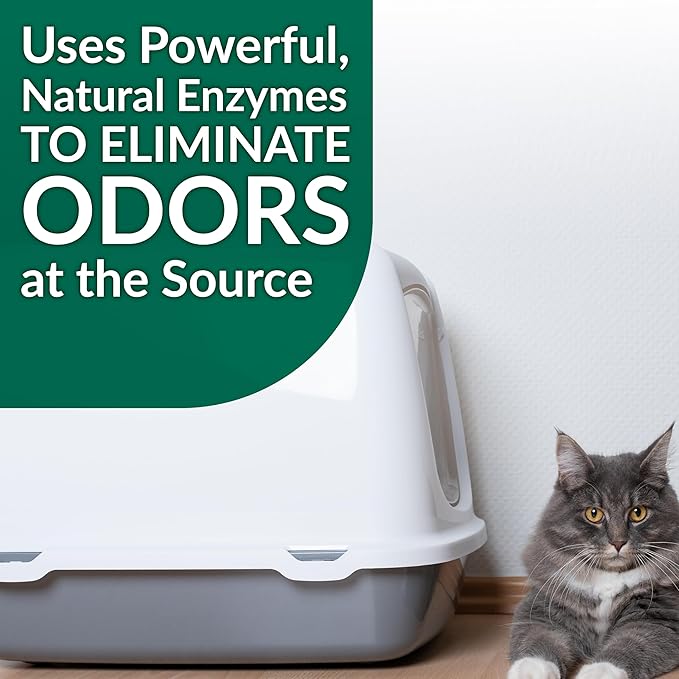 Cat Stain & Odor Remover - Enzyme Cleaner for Cat Urine, Feces, Blood, Vomit (1 gallon Refill)