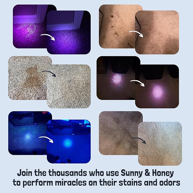 Sunny & Honey Pet Stain and Odor Remover - Enzyme Cleaner for Dog Urine and Poop on Carpets and Furniture - Strong Pet Carpet Cleaner Spray (32fl oz Mint)