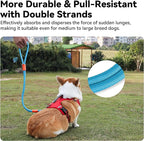 2-in-1 Dog Car Seatbelt Leash & Walking Lead - Heavy Duty 70CM Nylon Rope Leash with Secure Vehicle Buckle for Small Medium Large Dogs, for Travel, Walking, Training