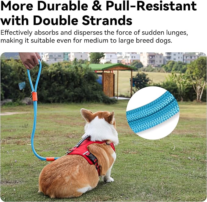 2-in-1 Dog Car Seatbelt Leash & Walking Lead - Heavy Duty 70CM Nylon Rope Leash with Secure Vehicle Buckle for Small Medium Large Dogs, for Travel, Walking, Training