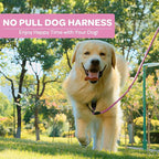 FURRYFECTION Plaid Dog Harness for Medium Dogs, Reflective No Pull Adjustable Pet Vest with Front Clip, Leash, Easy Control Handle and Seat Belt, Pink, M
