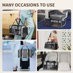 TSA Approved Pet Carrier for Small Cats and Puppies, Soft-Sided and Foldable, Cat and Dog Carrier Fits Pets Up to 15 lbs, Durable Portable Travel Bag with Litter Box (Gray, Litter Box & Leash Set)