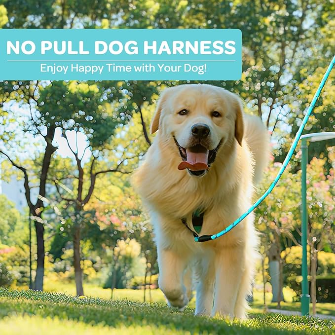 FURRYFECTION Plaid Dog Harness for Small Dogs, Reflective No Pull Adjustable Pet Vest with Front Clip, Leash, Easy Control Handle and Seat Belt, Turquoise, S