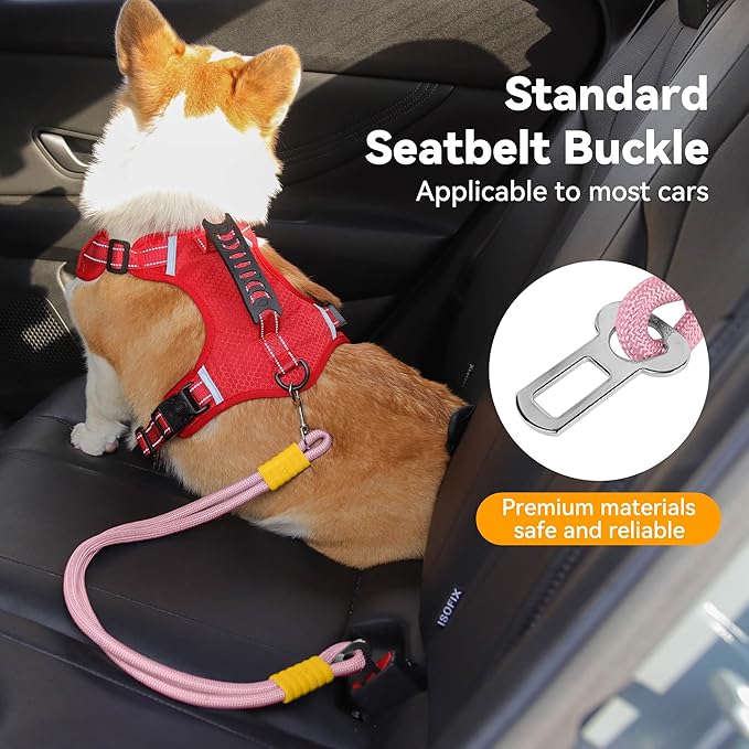 2-in-1 Dog Car Seatbelt Leash & Walking Lead - Heavy Duty 70CM Nylon Rope Leash with Secure Vehicle Buckle for Small Medium Large Dogs, for Travel, Walking, Training