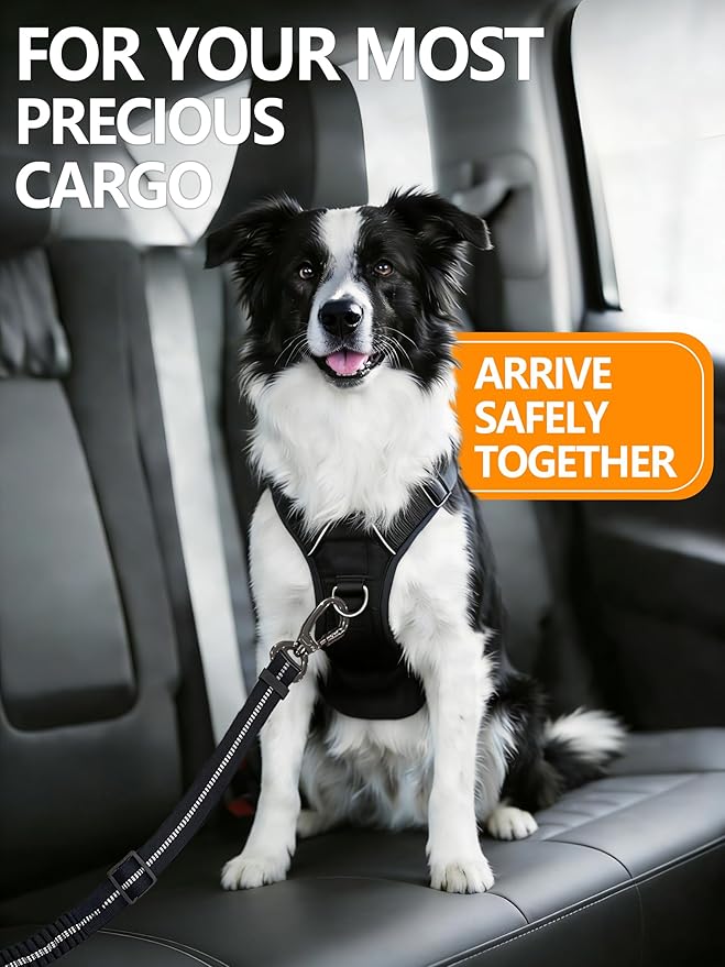 Dog Seat Belt for Car, 3-in-1 Adjustable Dog Seat Belt with Carabiner, Latch & Buckle, Heavy Duty Dog Car Harness Tether with Bungee Buffer, Pet Safety Restraint for Small Medium Large Dogs