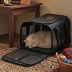Cat Carrier Airline Approved, Soft-Sided Dog Carrier with Inner Safety Leash, Pet Transport Carrier for Small-Medium Cats Puppies up to 15 Lbs, Collapsible Travel Kitten Carrier Bag -BlackM