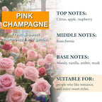 Hanging Car Air Freshener (Pack of 3) : Luxury Car Perfume for Women Men | Cute & Reusable Bottle with 45+ Days Long-Lasting Fragrance Oil Diffuser, Pink Champagne