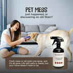 Pet Stain & Odour Remover – Fast-Acting Enzyme Cleaner for Dog & Cat Urine, Feces & Vomit – Pet Safe Odor Eliminator for Carpet, Upholstery, Car, Bedding, Tiles – Puppy Essentials – 500ml