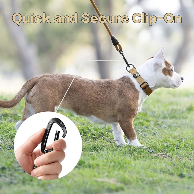 PawsPassion Rope Dog Leash 6 FT, 2-in-1 Heavy Duty Dog Leash with Seat Belt Buckle, Tangle Free 360ｰ Swivel Aviation Aluminum Carabiner, All Metal Hardware, Alloy O-Ring (Sunrise)