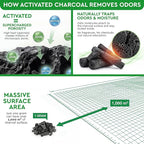 Activated Charcoal Shoe Odor Elimination Bags. Remove Strong Odors in Car, Closet, Basement. 6 Activated Charcoal Bags Odor Absorbers for Home. Bamboo Charcoals Air Purifying Bag Charcoals Deodorizer